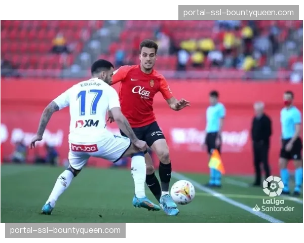 阿拉维斯0-0战平马略卡,双方各取一分保级形势未变 阿拉维斯0-0战平马略卡,双方各取一分保级形势未变